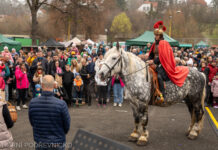 Jubilejní 15. ročník Svatomartinského trhu připadl na 15. listopad. Vizovice si užily sváteční atmosféru i příjezd sv. Martina