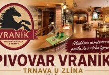 Servírka/číšník – Pivovar Vraník v Trnavě