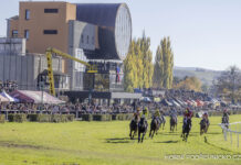 Velká slušovická steeplechase přilákala početné publikum. Dostihům přálo krásné podzimní počasí